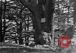 Image of Solomon's Temple Lebanon, 1941, second 59 stock footage video 65675047420
