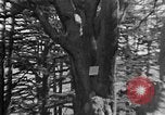 Image of Solomon's Temple Lebanon, 1941, second 60 stock footage video 65675047420