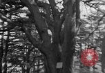Image of Solomon's Temple Lebanon, 1941, second 61 stock footage video 65675047420