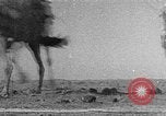 Standbild Juden und Araber in Palästina Palästina, 1941, aus Sekunde 29 historischem Filmmaterial Videoclip 65675047423
