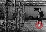 Immagine di La vita in moshav sionista e colonie Kibbutz Palestina, 1941, secondo 30 filmato di repertorio 65675047424