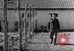 Immagine di La vita in moshav sionista e colonie Kibbutz Palestina, 1941, secondo 31 filmato di repertorio 65675047424