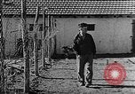 Immagine di La vita in moshav sionista e colonie Kibbutz Palestina, 1941, secondo 32 filmato di repertorio 65675047424