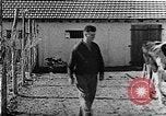 Immagine di La vita in moshav sionista e colonie Kibbutz Palestina, 1941, secondo 34 filmato di repertorio 65675047424