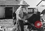Immagine di La vita in moshav sionista e colonie Kibbutz Palestina, 1941, secondo 35 filmato di repertorio 65675047424