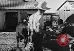 Immagine di La vita in moshav sionista e colonie Kibbutz Palestina, 1941, secondo 36 filmato di repertorio 65675047424