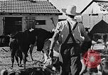 Immagine di La vita in moshav sionista e colonie Kibbutz Palestina, 1941, secondo 37 filmato di repertorio 65675047424