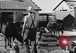 Immagine di La vita in moshav sionista e colonie Kibbutz Palestina, 1941, secondo 38 filmato di repertorio 65675047424
