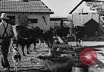 Immagine di La vita in moshav sionista e colonie Kibbutz Palestina, 1941, secondo 40 filmato di repertorio 65675047424