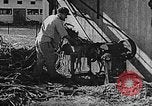 Immagine di La vita in moshav sionista e colonie Kibbutz Palestina, 1941, secondo 41 filmato di repertorio 65675047424