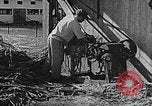 Immagine di La vita in moshav sionista e colonie Kibbutz Palestina, 1941, secondo 42 filmato di repertorio 65675047424