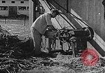 Immagine di La vita in moshav sionista e colonie Kibbutz Palestina, 1941, secondo 43 filmato di repertorio 65675047424