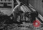Immagine di La vita in moshav sionista e colonie Kibbutz Palestina, 1941, secondo 45 filmato di repertorio 65675047424