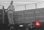 Immagine di Fuoco santo cerimonia Gerusalemme Gerusalemme Palestina, 1941, secondo 11 filmato di repertorio 65675047425