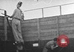 Immagine di Fuoco santo cerimonia Gerusalemme Gerusalemme Palestina, 1941, secondo 12 filmato di repertorio 65675047425