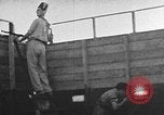Immagine di Fuoco santo cerimonia Gerusalemme Gerusalemme Palestina, 1941, secondo 15 filmato di repertorio 65675047425