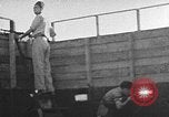 Immagine di Fuoco santo cerimonia Gerusalemme Gerusalemme Palestina, 1941, secondo 22 filmato di repertorio 65675047425