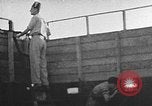 Immagine di Fuoco santo cerimonia Gerusalemme Gerusalemme Palestina, 1941, secondo 23 filmato di repertorio 65675047425