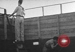 Immagine di Fuoco santo cerimonia Gerusalemme Gerusalemme Palestina, 1941, secondo 25 filmato di repertorio 65675047425