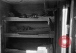 Image of bunker Korea, 1953, second 60 stock footage video 65675047427
