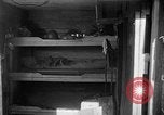 Image of bunker Korea, 1953, second 61 stock footage video 65675047427