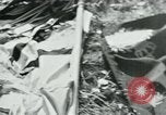 Image of Russian troops celebrate in Berlin Berlin Germany, 1945, second 5 stock footage video 65675047458