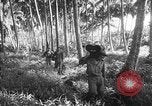 Image of United States troops New Guinea, 1943, second 6 stock footage video 65675047524