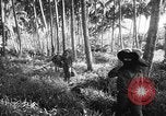 Image of United States troops New Guinea, 1943, second 7 stock footage video 65675047524