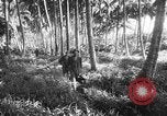 Image of United States troops New Guinea, 1943, second 9 stock footage video 65675047524