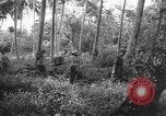 Image of United States troops New Guinea, 1943, second 10 stock footage video 65675047524