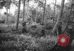 Image of United States troops New Guinea, 1943, second 11 stock footage video 65675047524