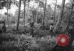 Image of United States troops New Guinea, 1943, second 12 stock footage video 65675047524