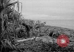 Image of United States troops New Guinea, 1943, second 21 stock footage video 65675047524