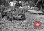 Image of United States troops New Guinea, 1943, second 26 stock footage video 65675047524