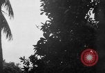 Image of United States troops New Guinea, 1943, second 35 stock footage video 65675047524