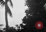 Image of United States troops New Guinea, 1943, second 36 stock footage video 65675047524