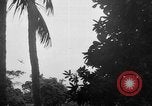 Image of United States troops New Guinea, 1943, second 37 stock footage video 65675047524