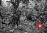 Image of United States troops New Guinea, 1943, second 49 stock footage video 65675047524