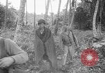 Image of United States troops New Guinea, 1943, second 58 stock footage video 65675047524