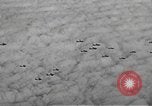 Standbild B-17 Flying Fortress Ebenen Schweinfurt Deutschland, 1943, aus Sekunde 52 historischem Filmmaterial Videoclip 65675047528