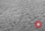 Standbild B-17 Flying Fortress Ebenen Schweinfurt Deutschland, 1943, aus Sekunde 53 historischem Filmmaterial Videoclip 65675047528