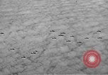 Standbild B-17 Flying Fortress Ebenen Schweinfurt Deutschland, 1943, aus Sekunde 54 historischem Filmmaterial Videoclip 65675047528