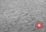 Standbild B-17 Flying Fortress Ebenen Schweinfurt Deutschland, 1943, aus Sekunde 55 historischem Filmmaterial Videoclip 65675047528