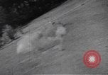 Image of World War II Air War in Europe  Germany, 1945, second 59 stock footage video 65675047531