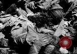 Standbild erfasst japanischen Flugplatz in Zweiten Weltkrieg Aslito Flugplatz Saipan Marianen, 1944, aus Sekunde 45 historischem Filmmaterial Videoclip 65675047536