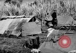 Standbild 804th Aviation Ingenieure Wiederaufbau Aslito Flugplatz Saipan Marianen, 1944, aus Sekunde 8 historischem Filmmaterial Videoclip 65675047537
