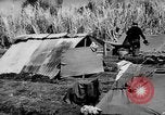Standbild 804th Aviation Ingenieure Wiederaufbau Aslito Flugplatz Saipan Marianen, 1944, aus Sekunde 9 historischem Filmmaterial Videoclip 65675047537