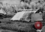 Standbild 804th Aviation Ingenieure Wiederaufbau Aslito Flugplatz Saipan Marianen, 1944, aus Sekunde 10 historischem Filmmaterial Videoclip 65675047537