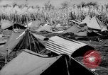 Standbild 804th Aviation Ingenieure Wiederaufbau Aslito Flugplatz Saipan Marianen, 1944, aus Sekunde 12 historischem Filmmaterial Videoclip 65675047537