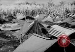 Standbild 804th Aviation Ingenieure Wiederaufbau Aslito Flugplatz Saipan Marianen, 1944, aus Sekunde 13 historischem Filmmaterial Videoclip 65675047537